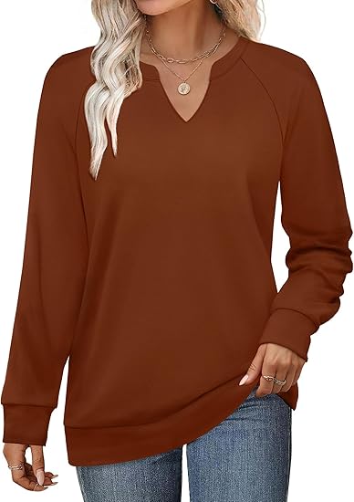 Womens Long Sleeve Shirts 2025 Fall Tunic Tops Crewneck Blouses Print